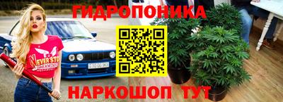 стафф Краснодар