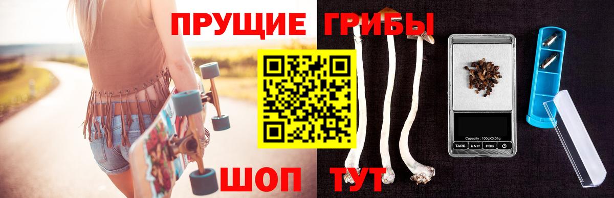 Псилоцибиновые грибы прущие грибы  Вход с VPN  Гуково 